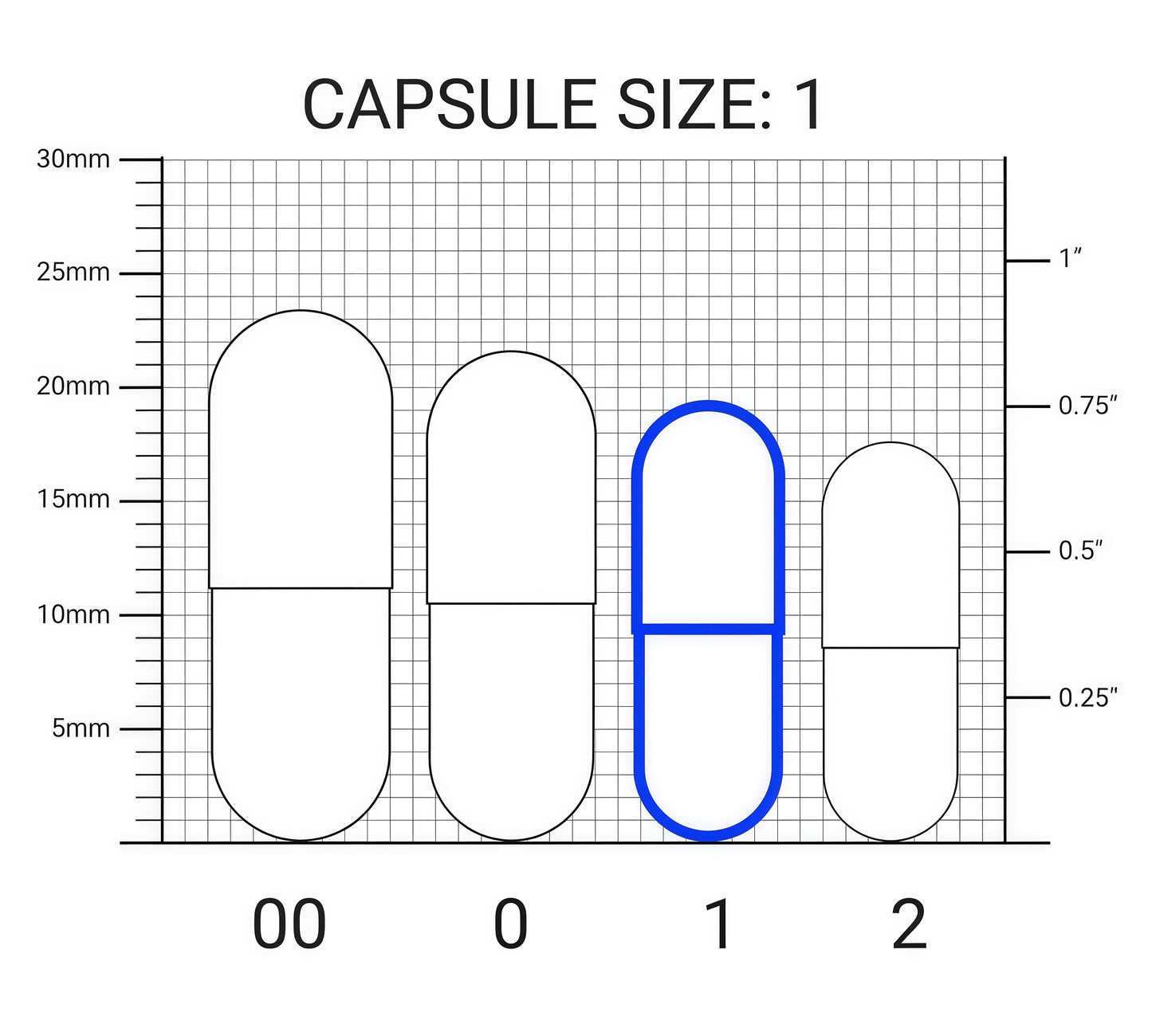 Dr. Berg Vitamin D3 & K2 10,000 IU + MK-7 – 120 Capsules – Immune, Bone & Heart Support* Supplement w/Magnesium, Zinc, B6 – 4X Lab-Tested – No Fillers – Non-GMO, cGMP, Formulated in USA